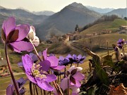 Al Pizzo Grande e al Monte Molinasco